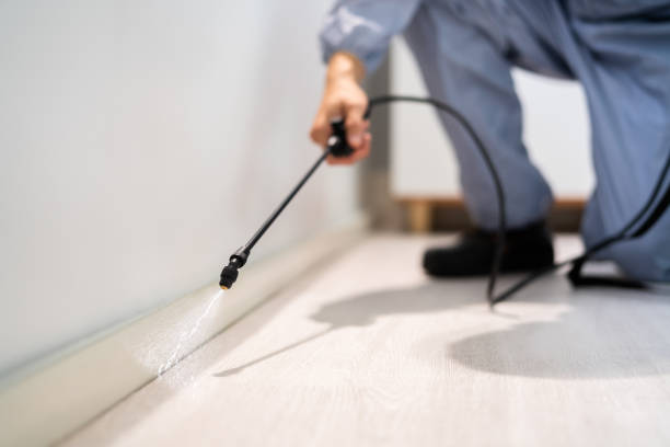 Licensed Termite Control service in Tehama County County, CA - Nex Pest Control