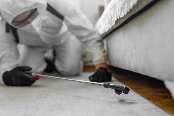 Professional Termite Control technician working in Tehama County County, CA